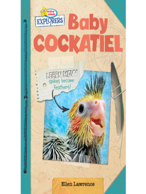 cover image of Baby Cockatiel